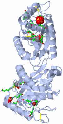 Image Biol. Unit 1 - sites