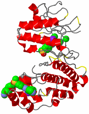 Image Asym./Biol. Unit - sites