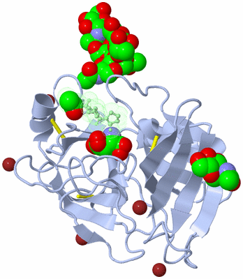 Image Asym./Biol. Unit