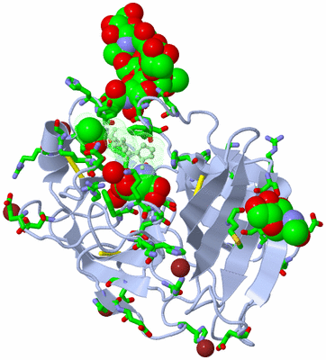 Image Asym./Biol. Unit - sites