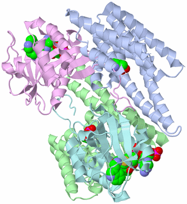 Image Biological Unit 1