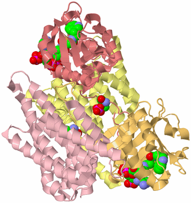 Image Biological Unit 2