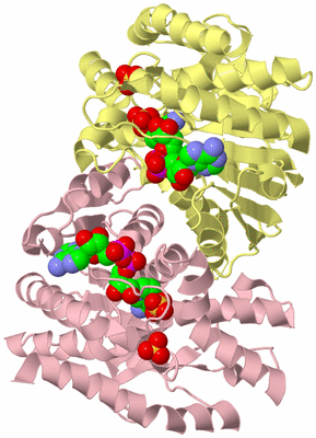 Image Biological Unit 2