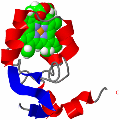 Image NMR Structure - model 1