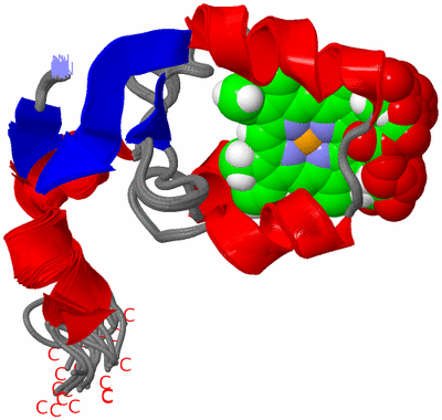 Image NMR Structure - all models
