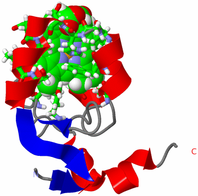 Image NMR Structure - model 1, sites