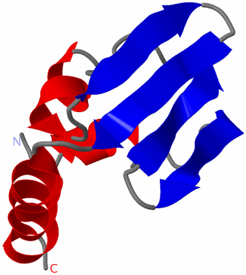 Image NMR Structure - model 1