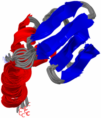 Image NMR Structure - all models