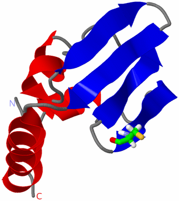 Image NMR Structure - model 1, sites