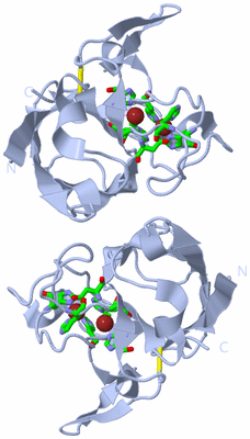 Image Biol. Unit 1 - sites