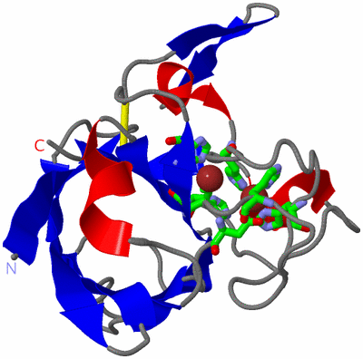 Image Asym. Unit - sites