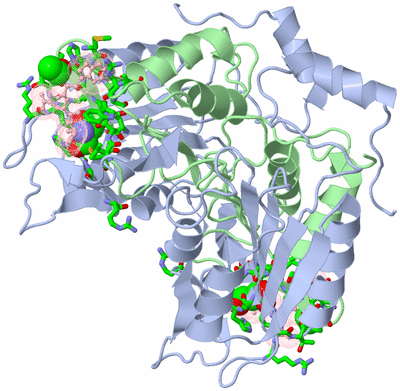 Image Biol. Unit 1 - sites