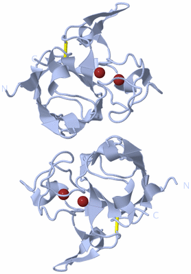 Image Biological Unit 1