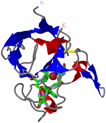 Image Asym. Unit - sites