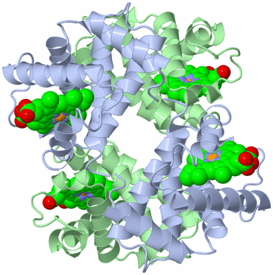 Image Biological Unit 1