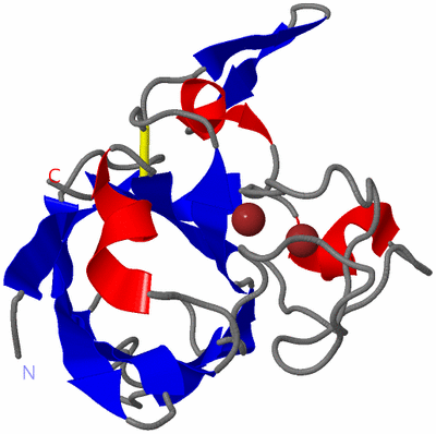 Image Asymmetric Unit