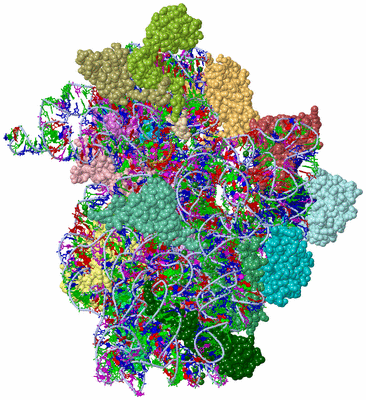 Image Asym./Biol. Unit