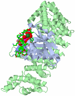 Image Biol. Unit 1 - sites