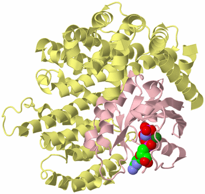 Image Biological Unit 2