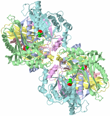 Image Biological Unit 1