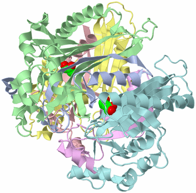 Image Biological Unit 2