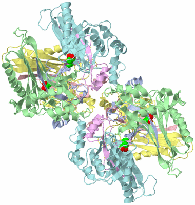 Image Biological Unit 1
