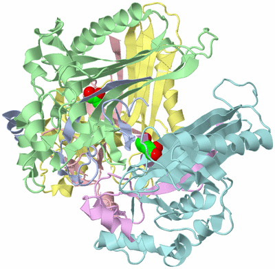 Image Biological Unit 2