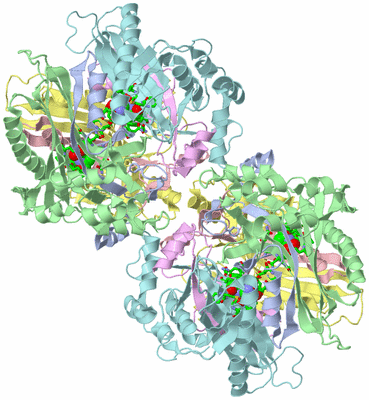Image Biol. Unit 1 - sites
