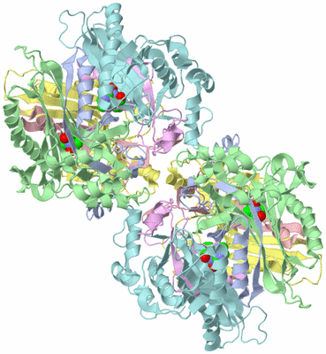 Image Biological Unit 1