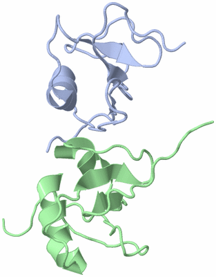 Image NMR Structure - model 1