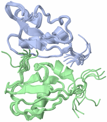 Image NMR Structure - all models