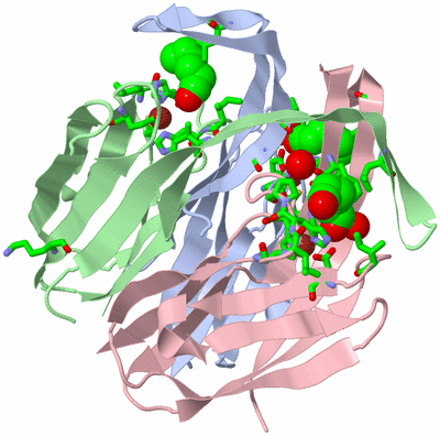 Image Biol. Unit 1 - sites