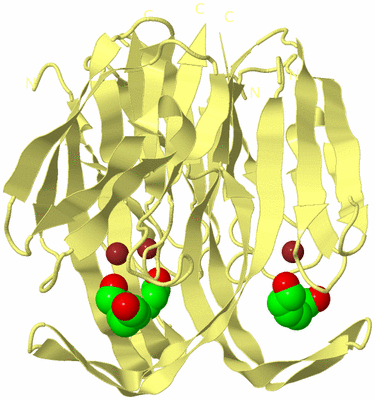 Image Biological Unit 2