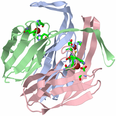 Image Biol. Unit 1 - sites