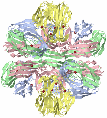 Image Biological Unit 3