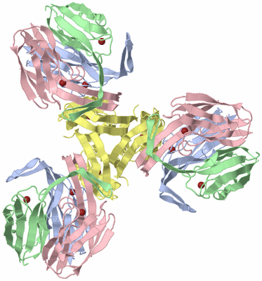 Image Biological Unit 4