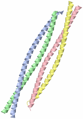 Image Asymmetric Unit