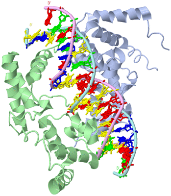 Image Asym./Biol. Unit