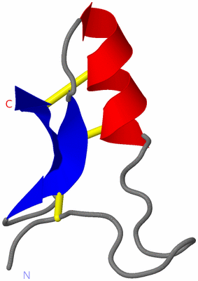 Image NMR Structure - model 1