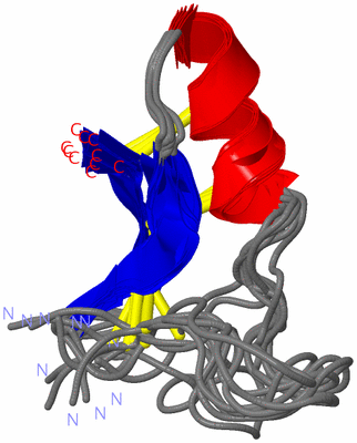 Image NMR Structure - all models