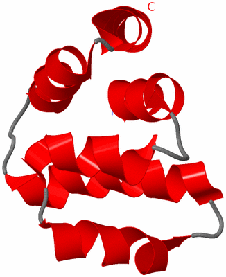 Image NMR Structure - model 1