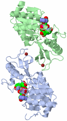 Image Biological Unit 1