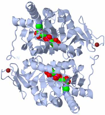 Image Biological Unit 2