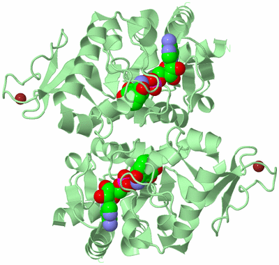 Image Biological Unit 3