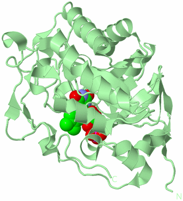 Image Biological Unit 2