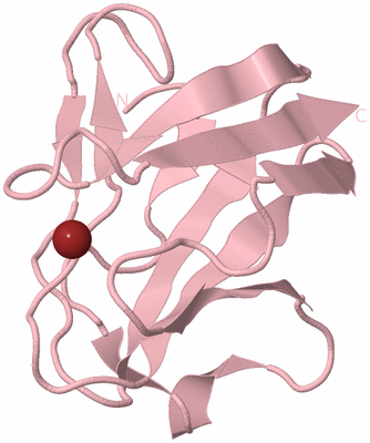 Image Biological Unit 3