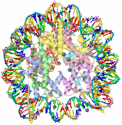 Image Asym./Biol. Unit