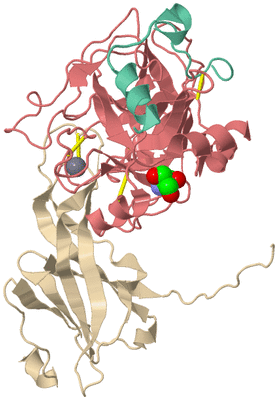 Image Asymmetric Unit