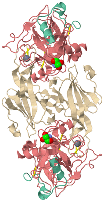 Image Biological Unit 1