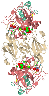 Image Biol. Unit 1 - sites